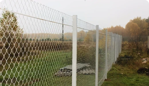 Заборы из сетки рабица